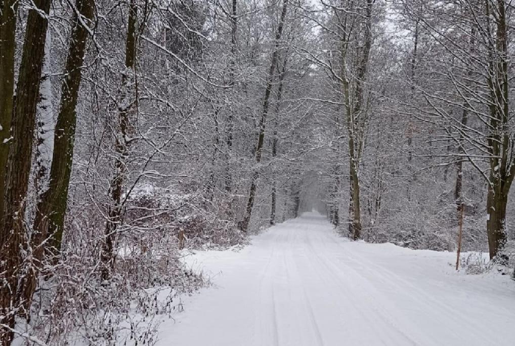 Basiowka Nad Jeziorem Boszkowo Dış mekan fotoğraf